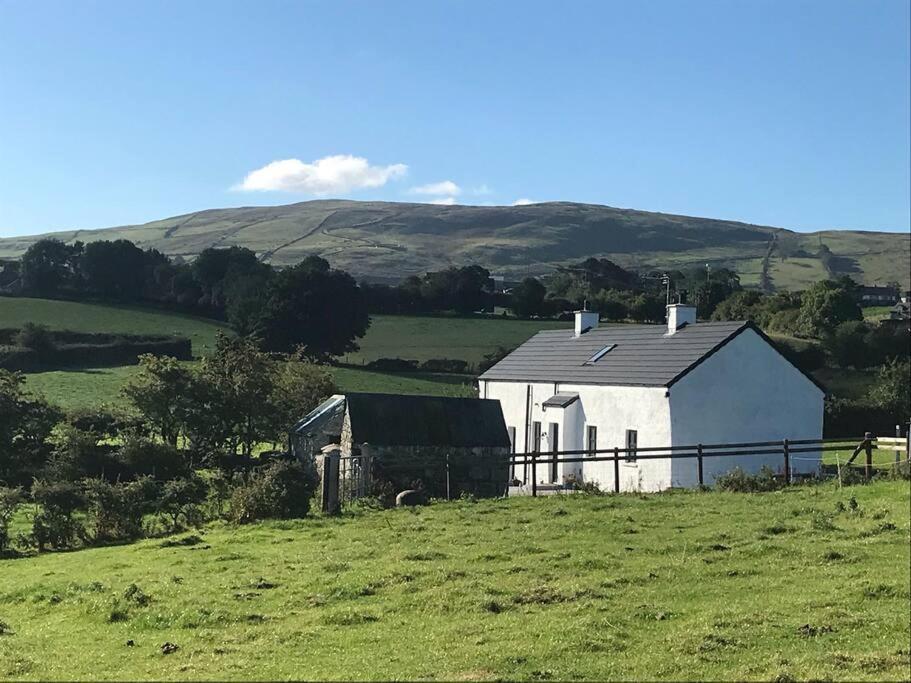 Mournes Family Cottage With Hot Tub Hilltown エクステリア 写真