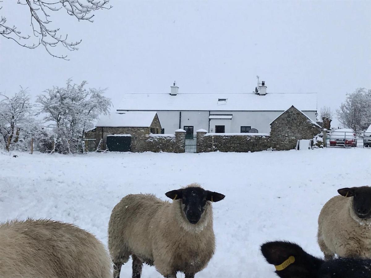 Mournes Family Cottage With Hot Tub Hilltown エクステリア 写真