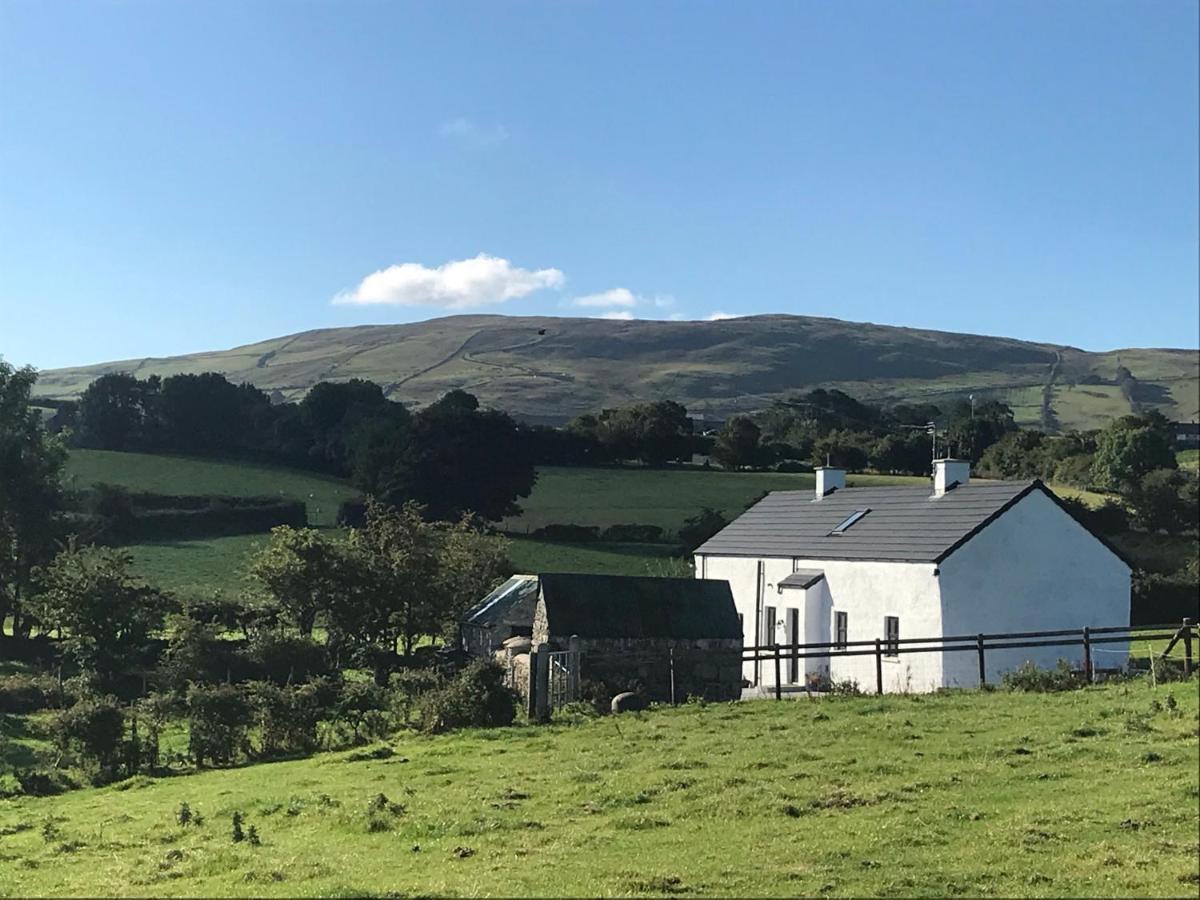Mournes Family Cottage With Hot Tub Hilltown エクステリア 写真
