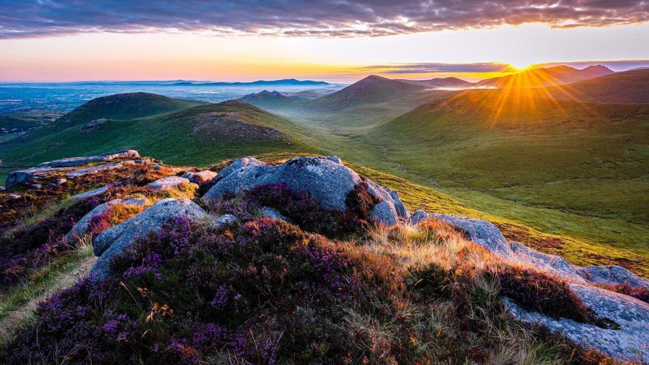 Mournes Family Cottage With Hot Tub Hilltown エクステリア 写真