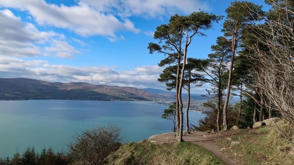 Mournes Family Cottage With Hot Tub Hilltown エクステリア 写真